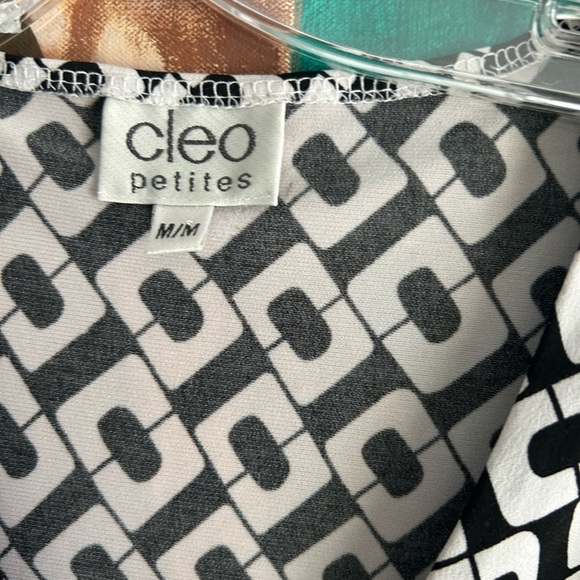 HOST PICK Cleo petites top size medium - Picture 3 of 16